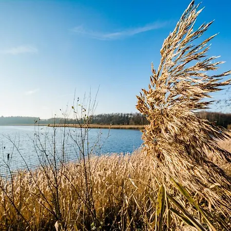 Luftkurort - 5 Sterne - See-kamin-sauna-garten Hébergement de vacances Krakow am See